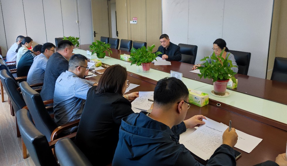 11.市审计局召开党组织建设工作会议.jpg