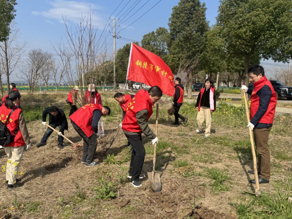 4.市审计局：铜审先锋在行动1 (2).jpg