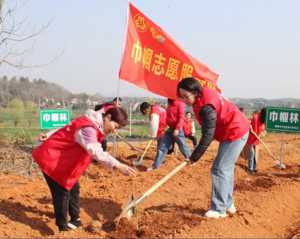 1.妇联1.jpg