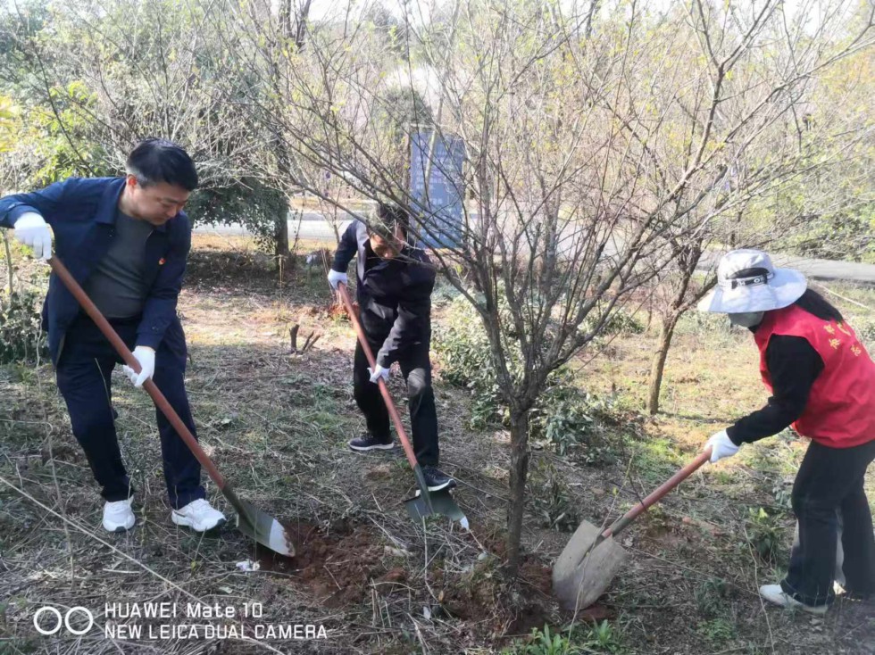 5.市农业农村局1.jpg