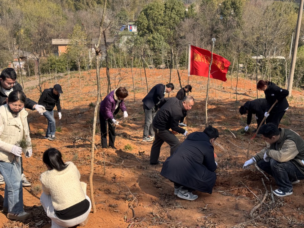 5.文旅.jpg