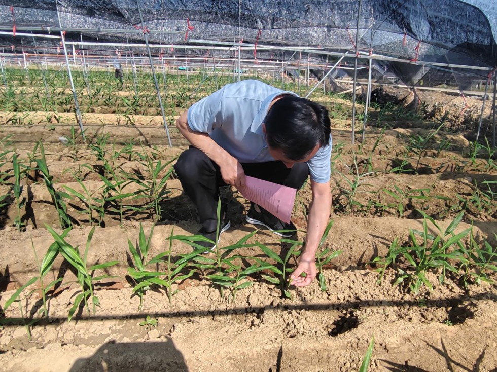 “劳模工匠助企行”2.jpg